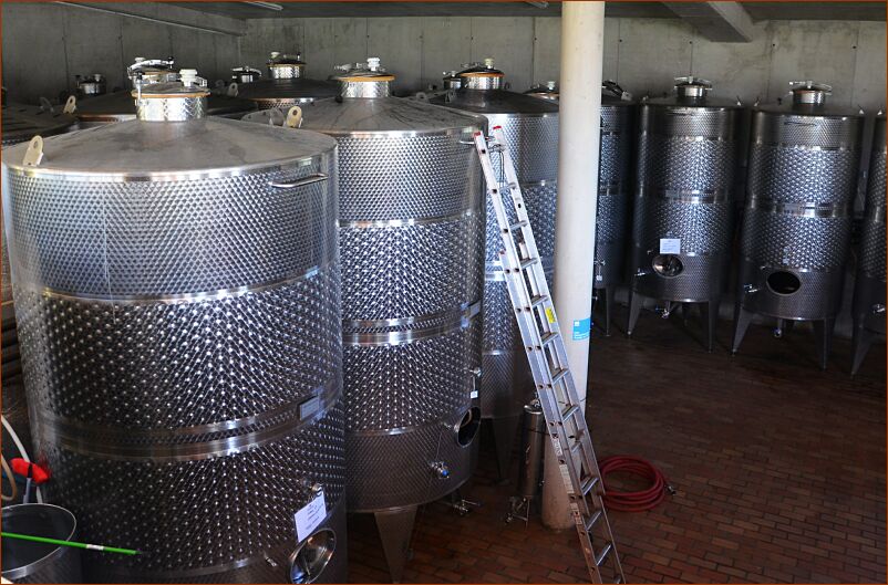 Vineyard1 - tanks